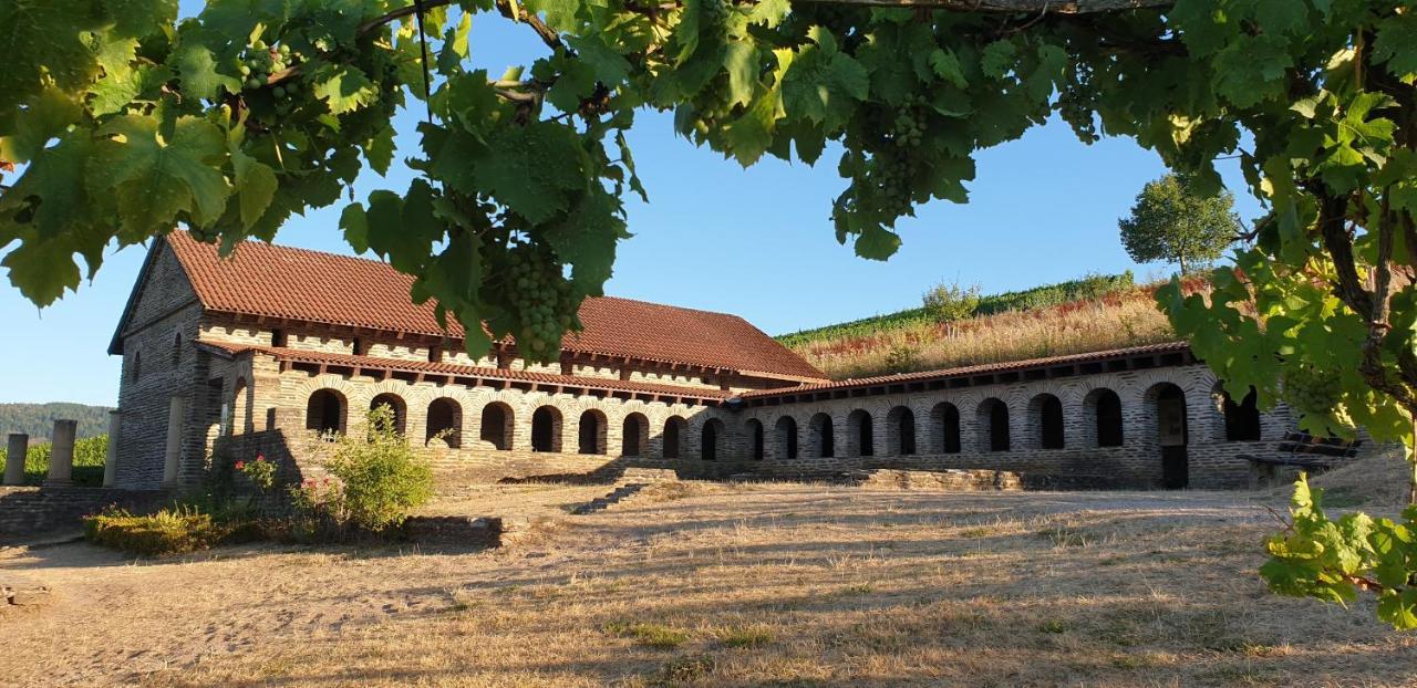 Apartamento Art Of Living Mosel Longuich Exterior foto